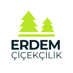 ERDEM ÇİÇEKÇİLİK arka olansız